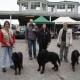 RRS_Fotogalerien_2010-09-19_Event4HappyDogs035