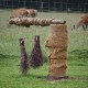 RRS_Fotogalerien_2011-06-26_Wildpark082