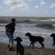 2012-07-29 RRS Holland Hundestrand_101