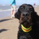 2012-07-29 RRS Holland Hundestrand_231