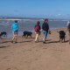 2012-07-29 RRS Holland Hundestrand_247