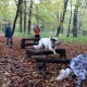 RRS_Fotogalerien_2013-11-03_Wald-Agility013