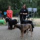 RRS_Fotogalerien_2014-06-19_Hunderennen052