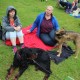 RRS_Fotogalerien_2014-06-19_Hunderennen101