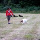 RRS_Fotogalerien_2016-06-12_Hundestunde026