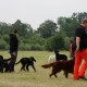 RRS_Fotogalerien_2016-06-12_Hundestunde050